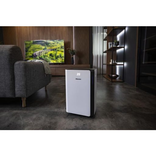 HISENSE D20CW páramentesítő